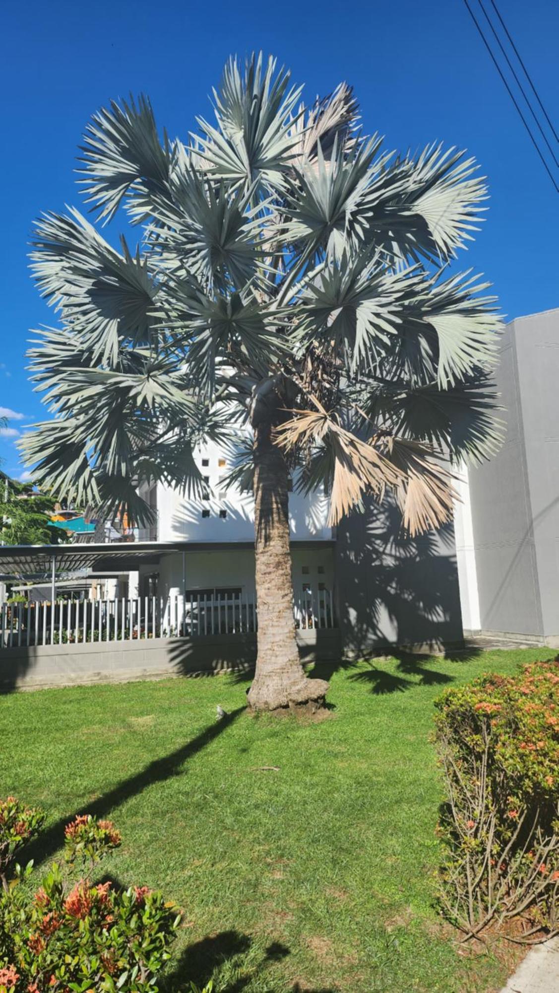 Apartasol Club Ciudadela Santa Fe - Santa Fe De Antioquia Santa Fe de Antioquia Exterior foto